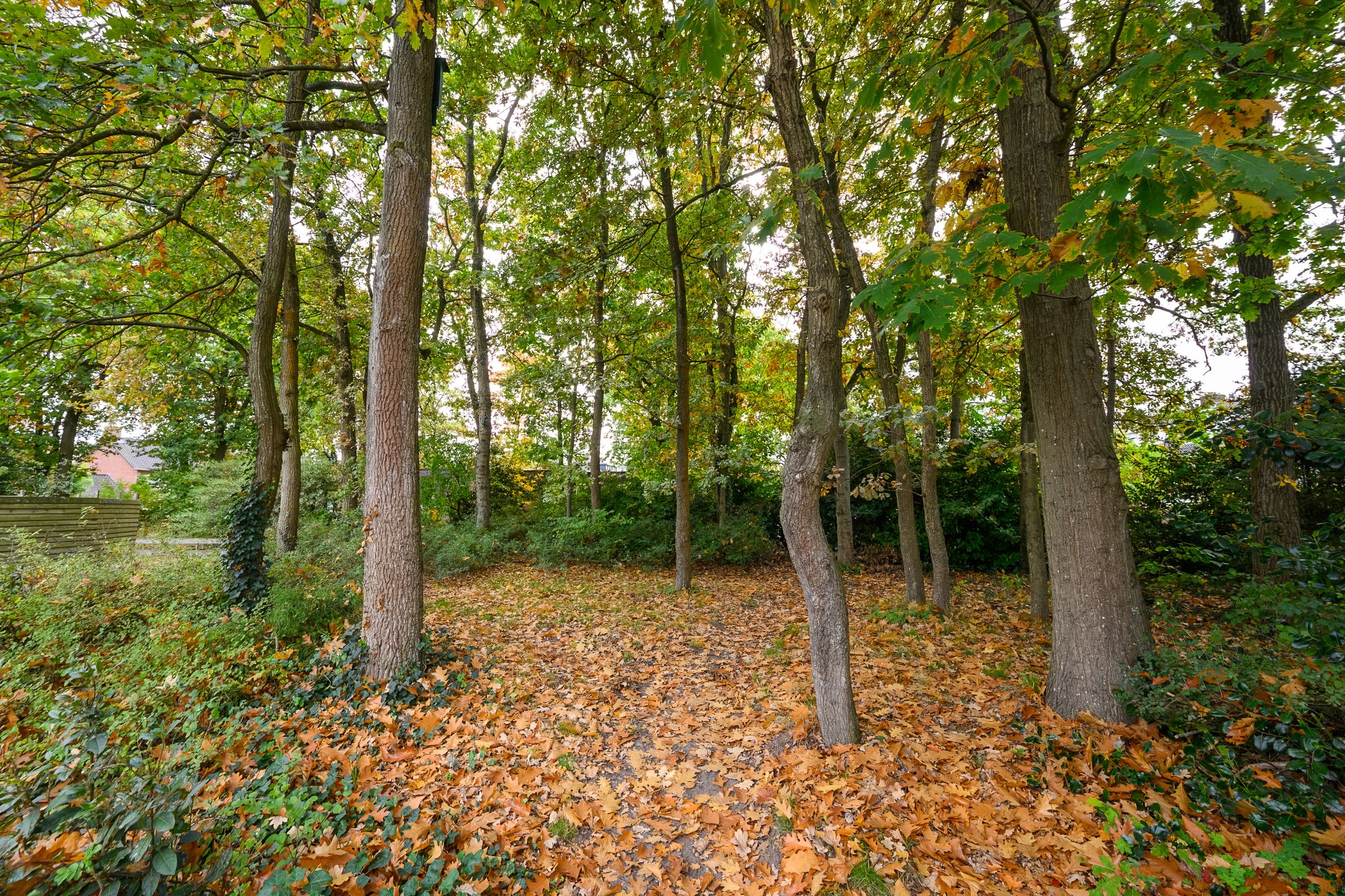 Foto 12 van Mezenlaan 17-D