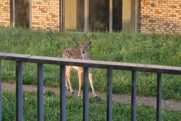 Foto 19 van Peperkers 5