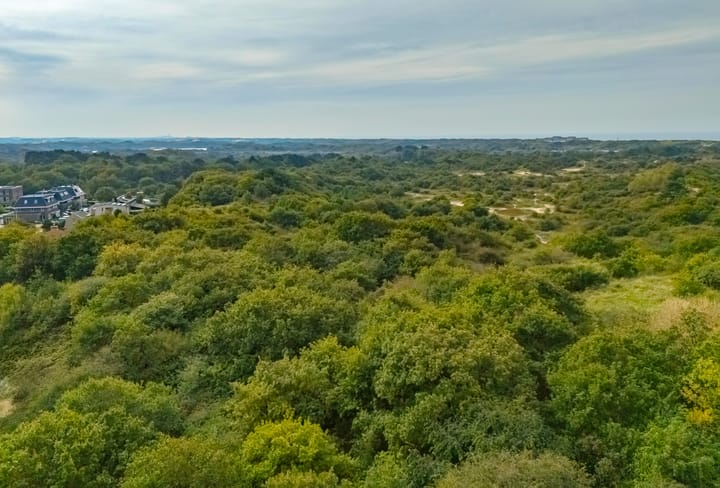 Foto 38 van Peperkers 5