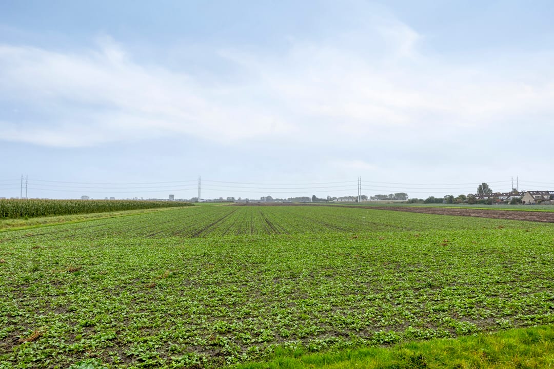 Photo 37 of Hillegommerdijk 374-S