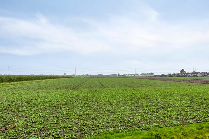 Photo 37 of Hillegommerdijk 374-S