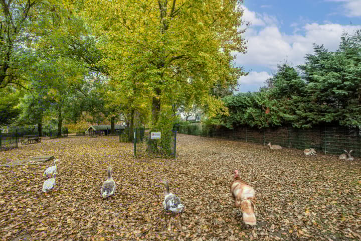 Foto 40 van Van Zuylenstraat 36