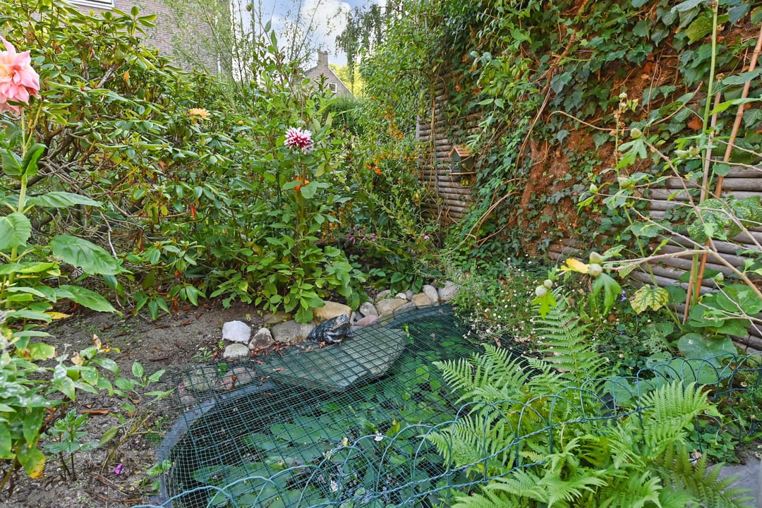 Photo 47 of Bous de Jongpark 78