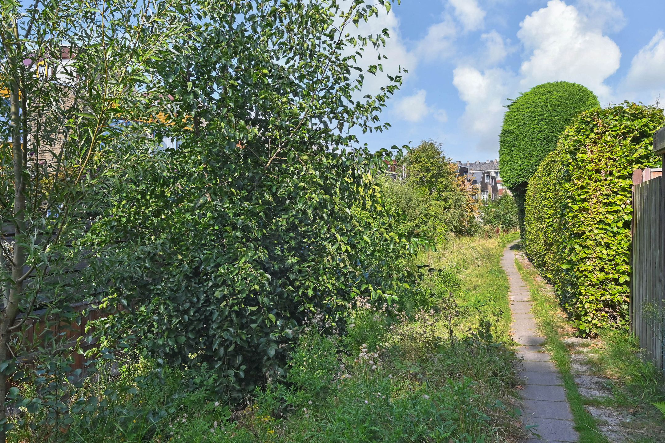 Photo 48 of Bous de Jongpark 78