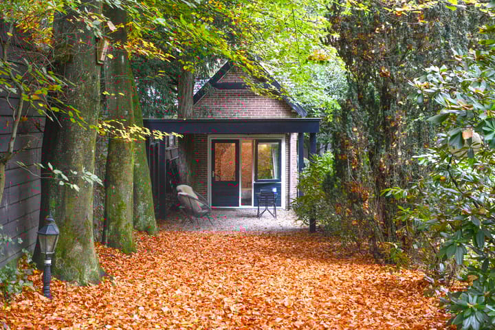 Photo 48 of Amsterdamsestraatweg 49