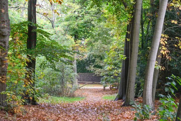 Photo 57 of Amsterdamsestraatweg 49