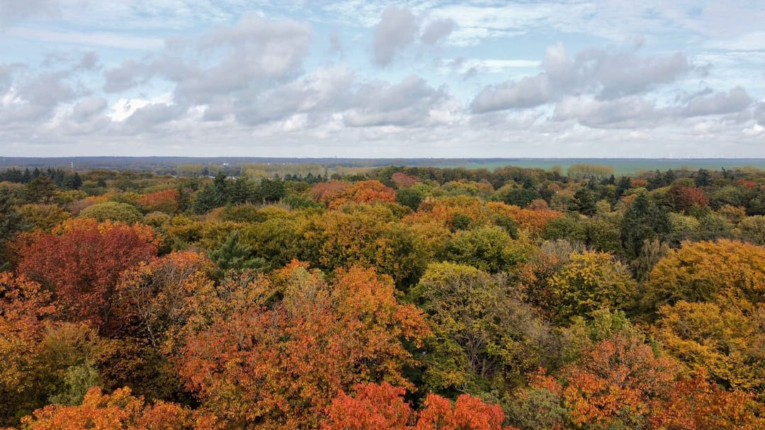 Foto 58 van Amsterdamsestraatweg 49