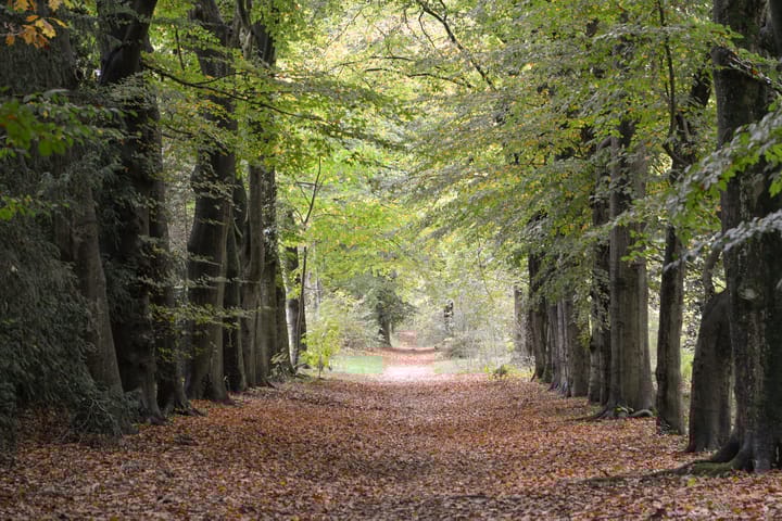 Photo 55 of Amsterdamsestraatweg 49