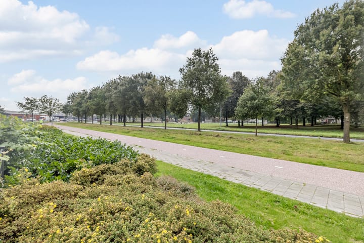 Foto 31 van Markedreef 33