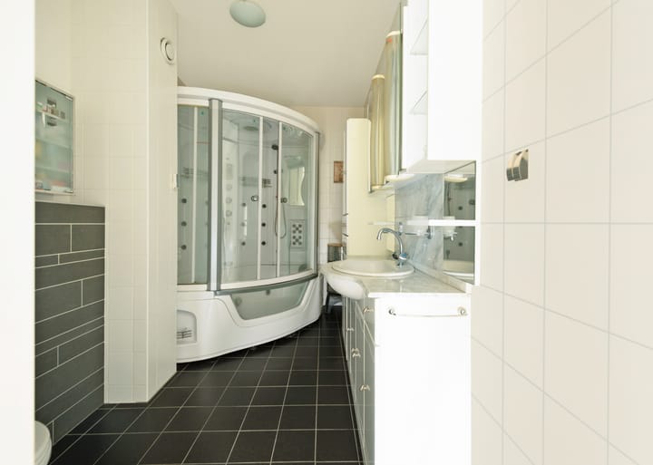 Foto 29 van Haarlemmermeerpolder 10