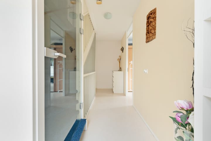 Foto 38 van Haarlemmermeerpolder 10