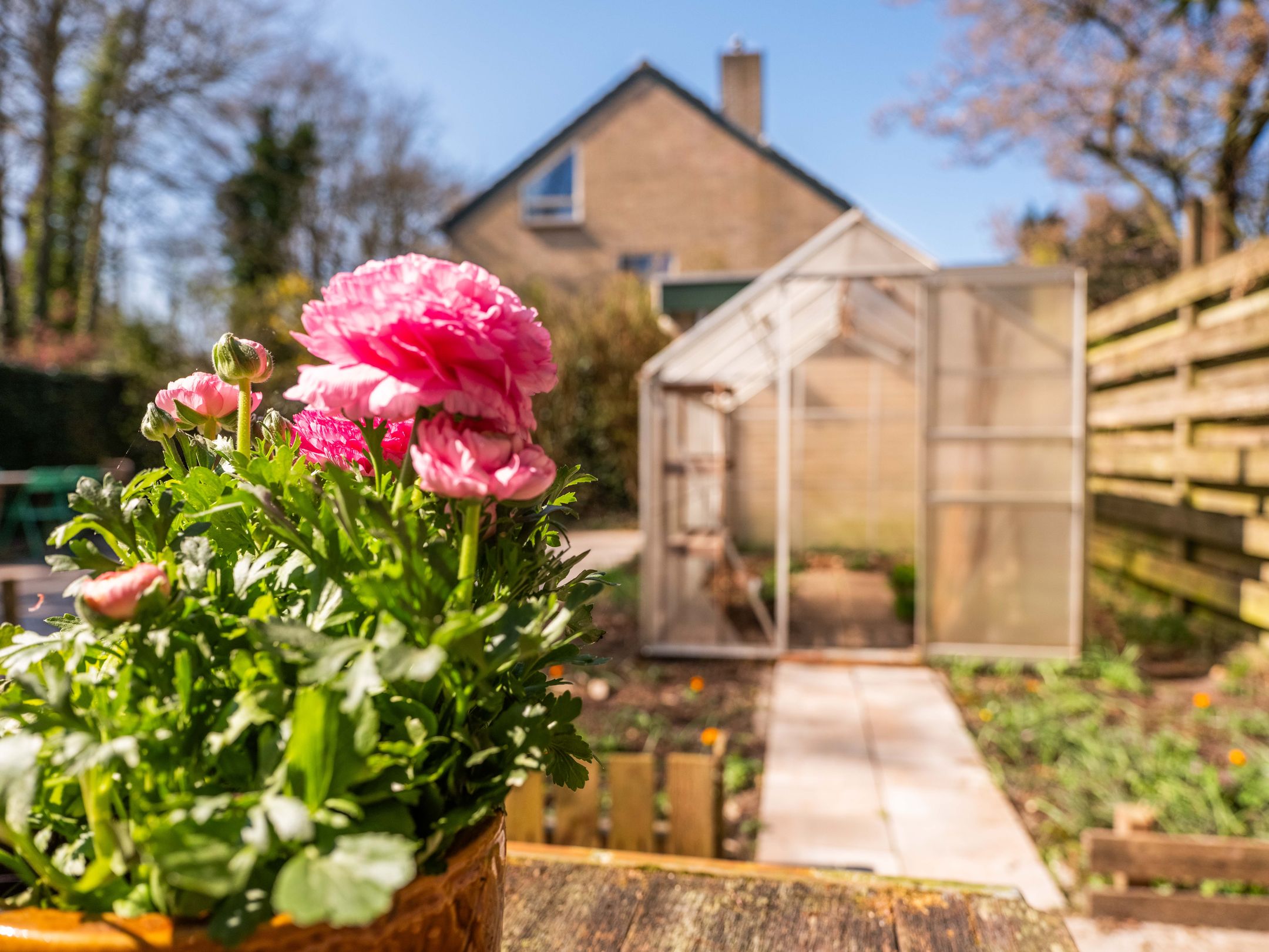 Photo 39 of Notweg 9