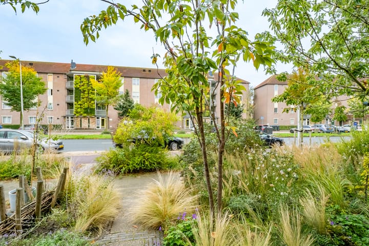 Foto 48 van Simplonbaan 308