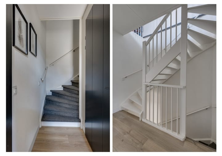 Foto 15 van Wilgenroos 15