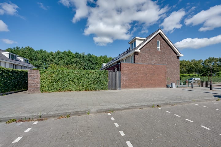 Foto 35 van Wilgenroos 15