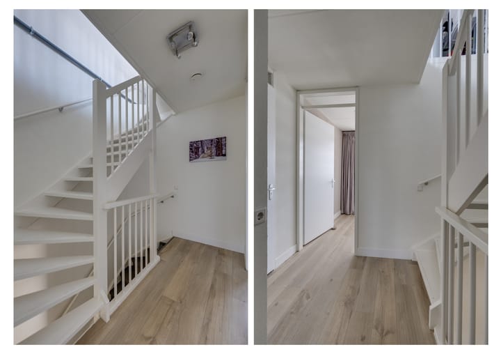 Foto 16 van Wilgenroos 15