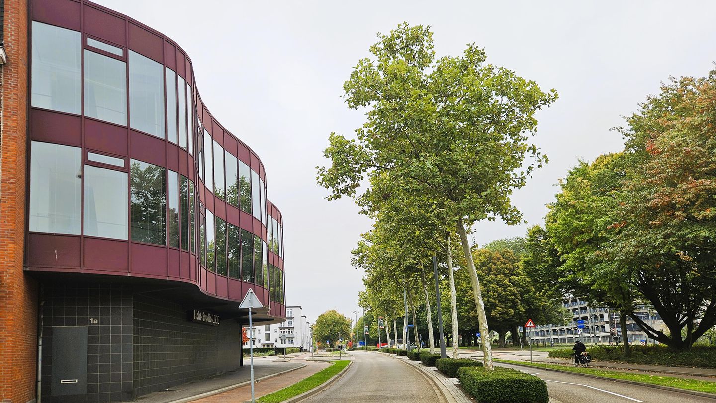 Bekijk foto 4 van Spoorsingel 1-A