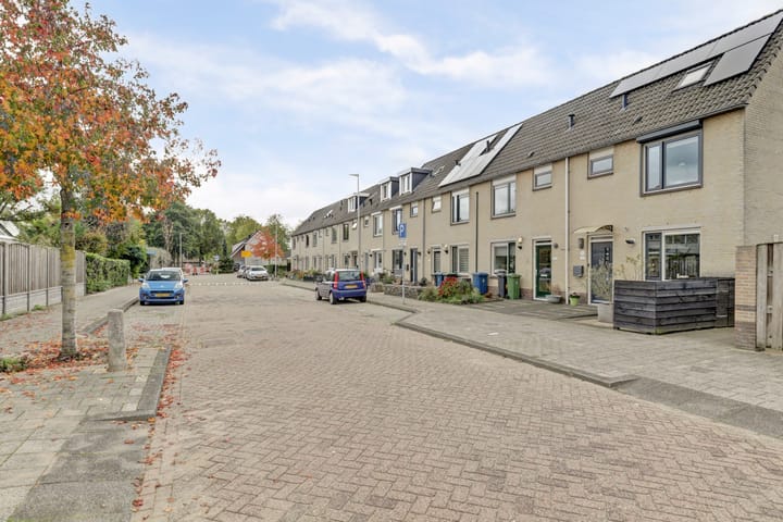 Foto 2 van Amaliastein 211