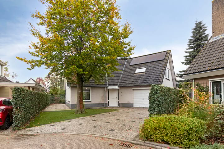 Photo 4 of Muntgaarde 6