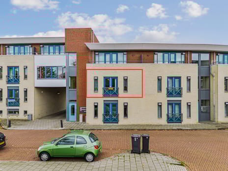 undefined main image