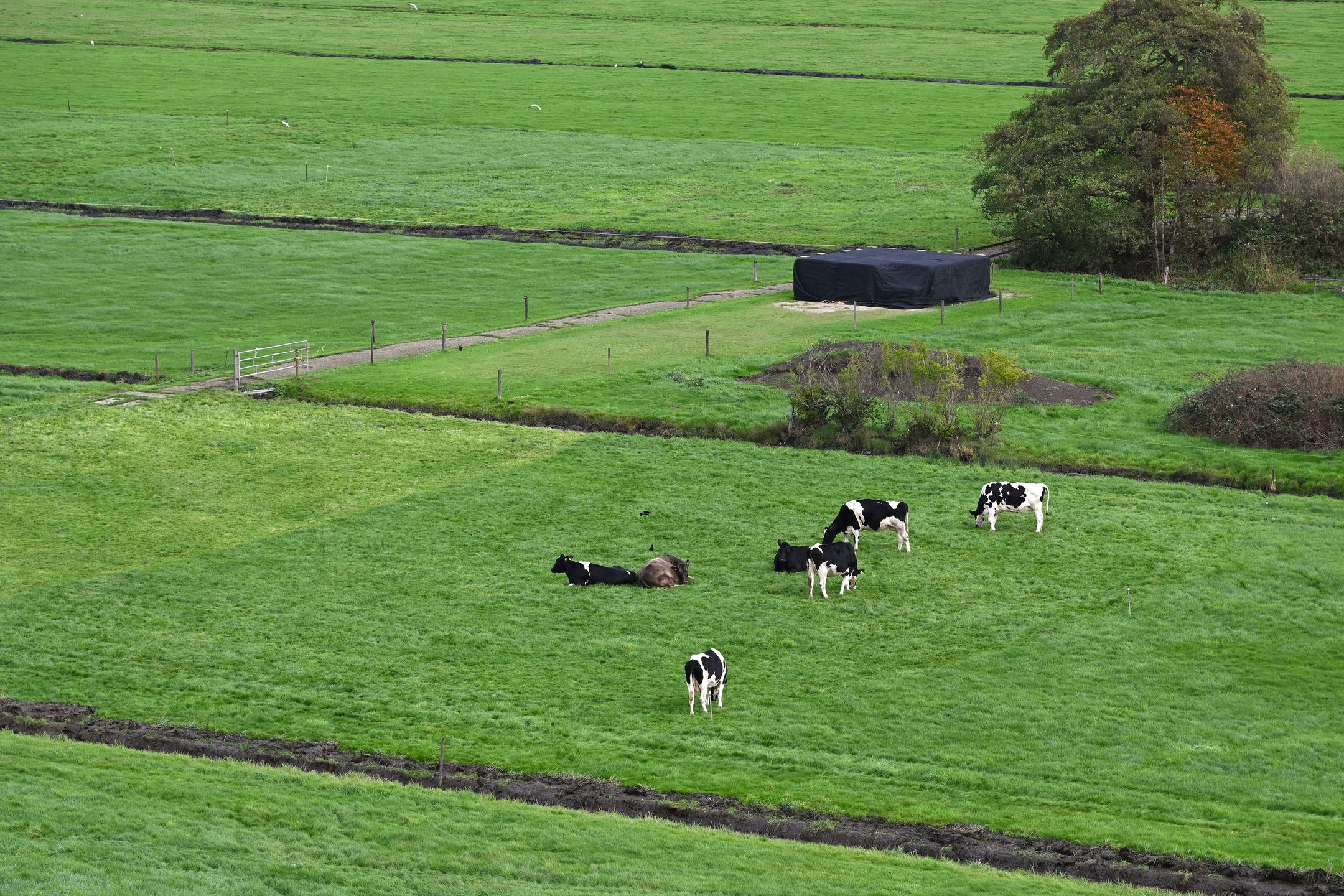 Photo 24 of Langhuis 51