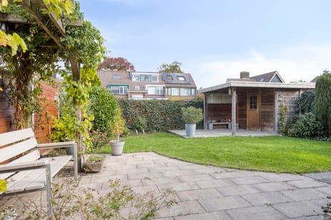 Koolzaadveld 15 secondary image