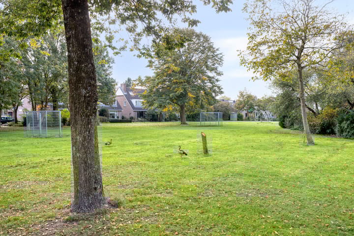 Foto 32 van Koolzaadveld 15