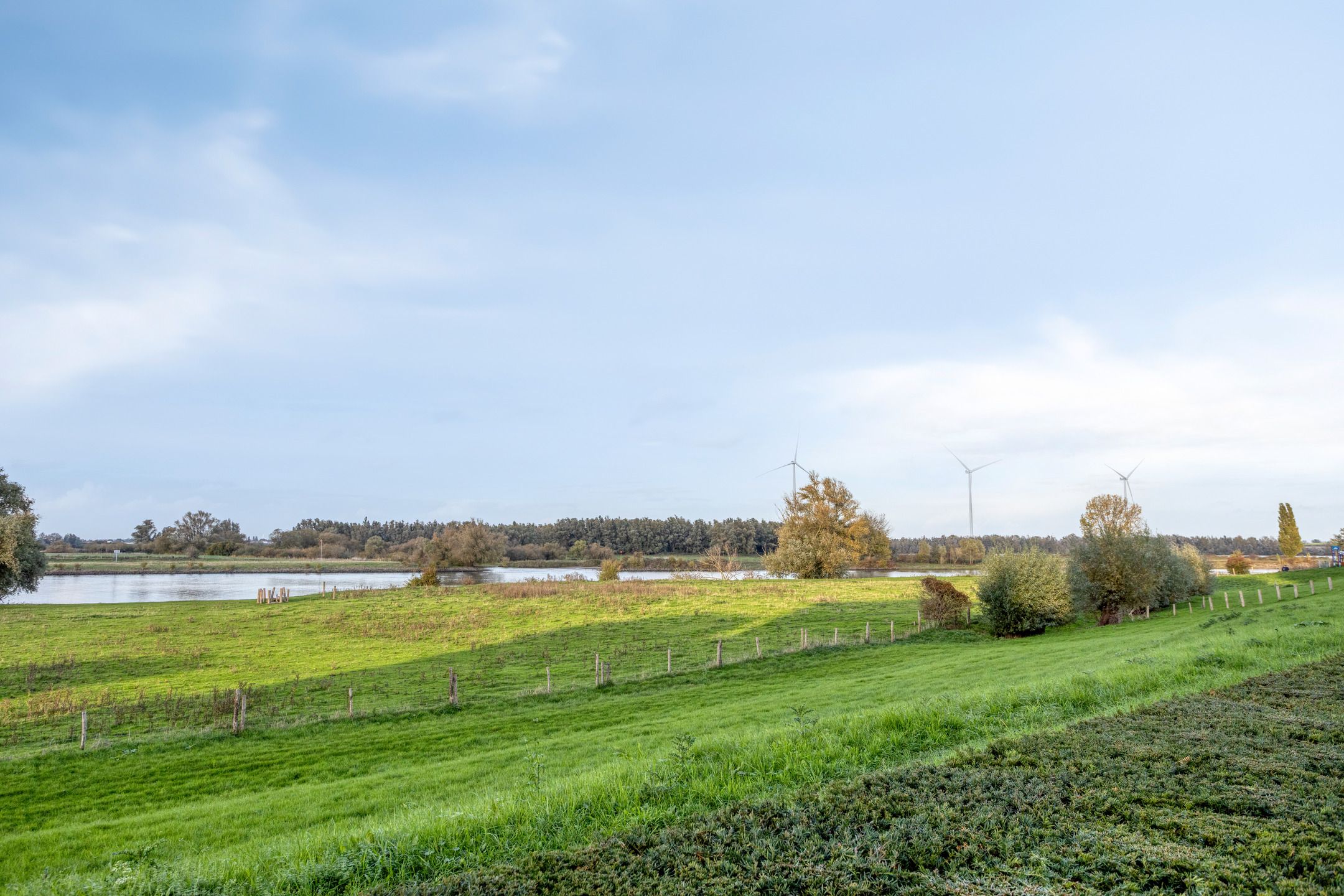 Photo 39 of Schout van Hanswijkplein 188