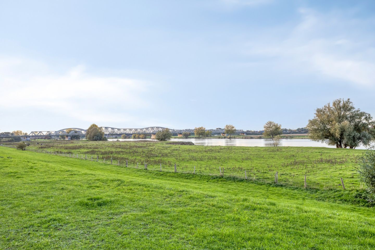 Photo 40 of Schout van Hanswijkplein 188