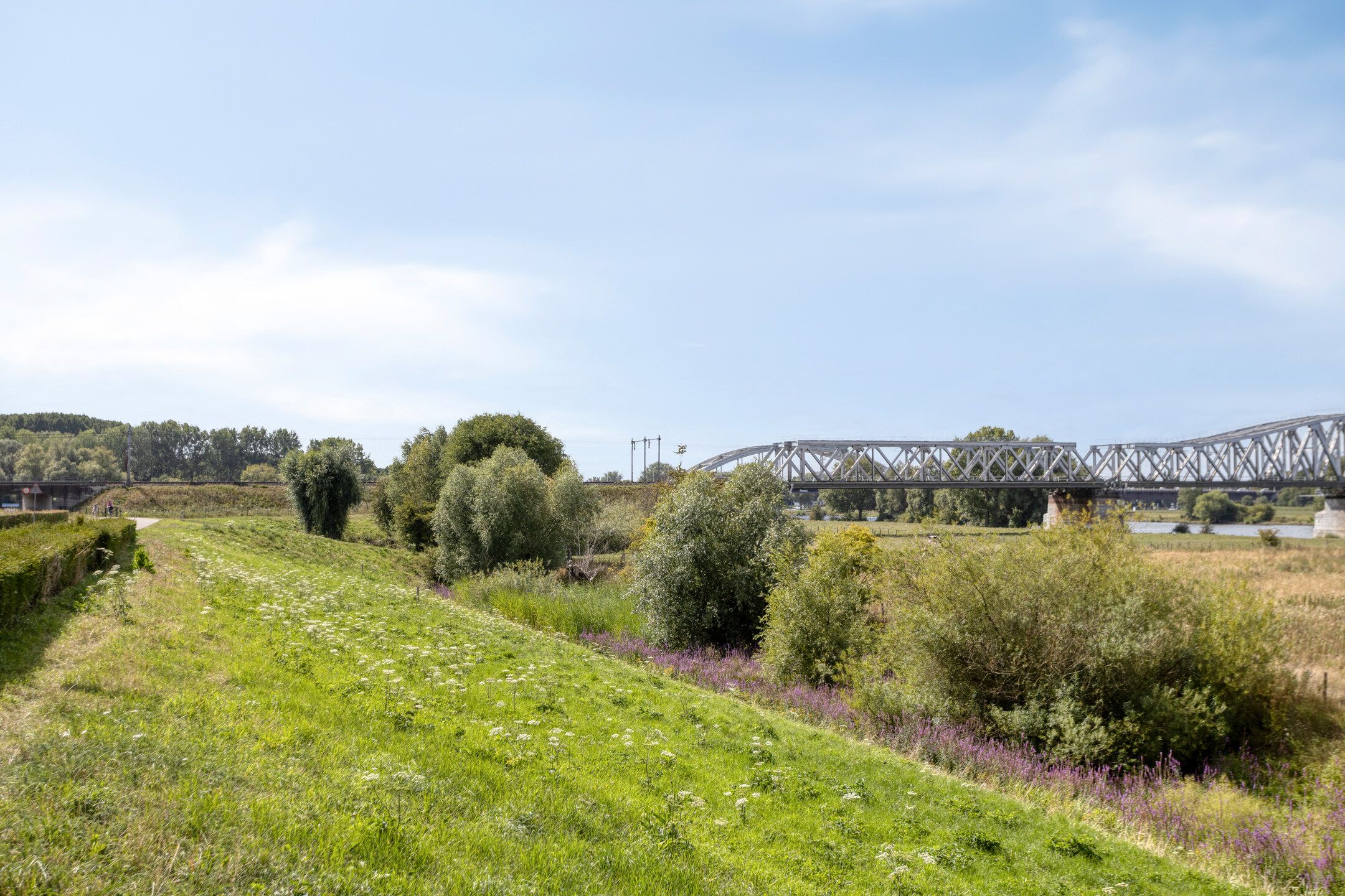 Photo 42 of Schout van Hanswijkplein 188