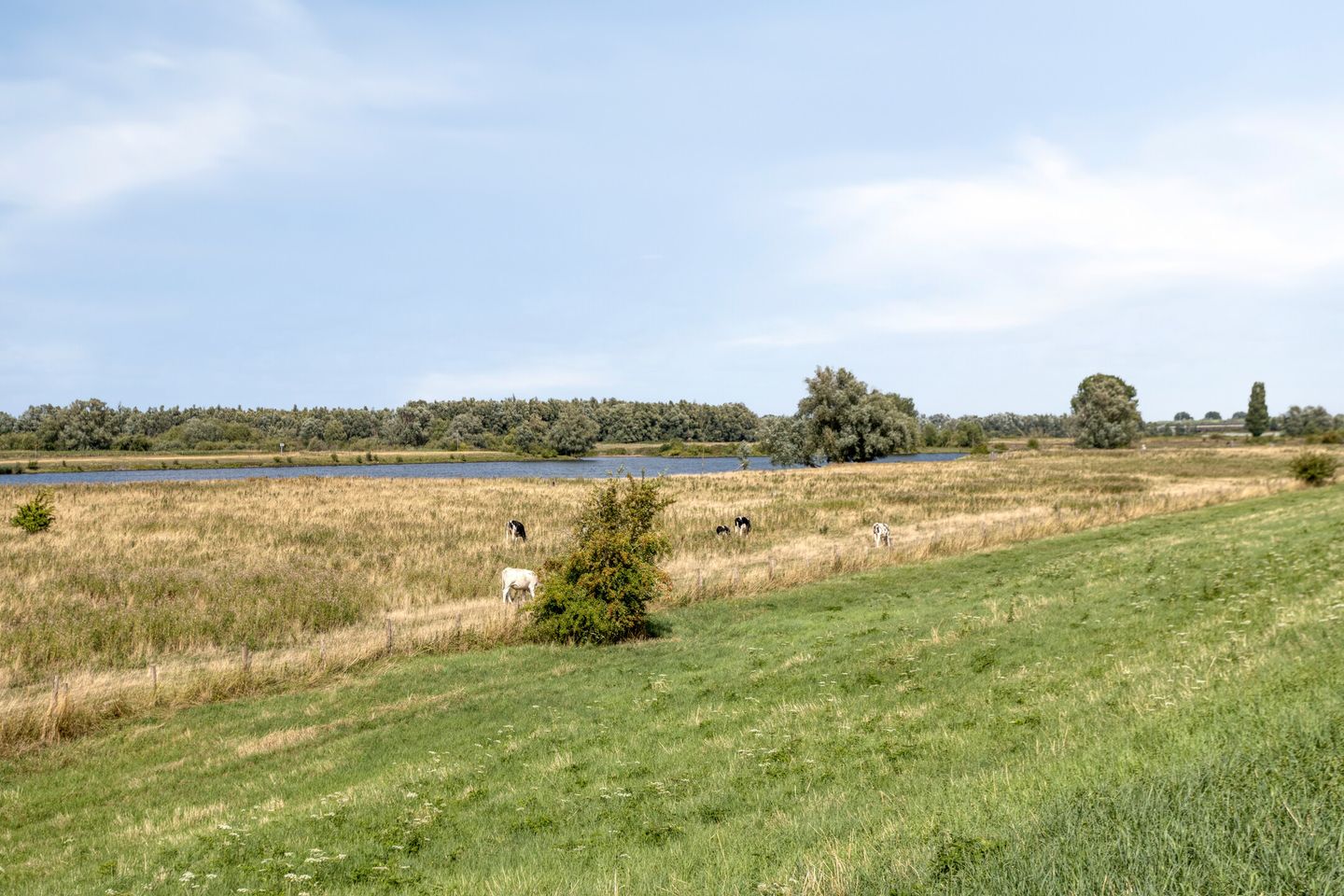 Photo 44 of Schout van Hanswijkplein 188