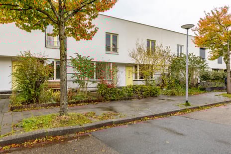 W. Dreesstraat thumbnail