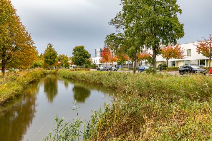 Foto 10 van W. Dreesstraat 42