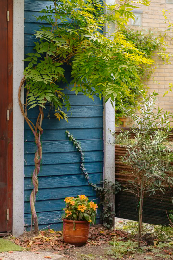 Foto 18 van Orteliusstraat 184-H