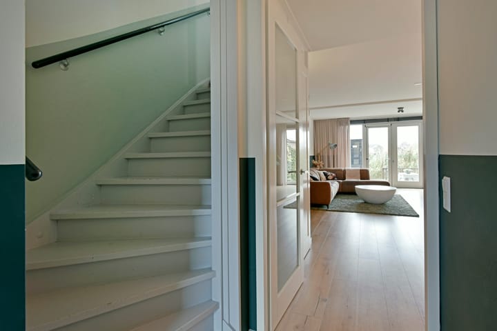 Foto 14 van Rugstreeppad 81