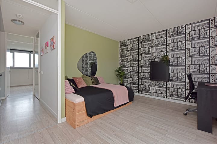 Foto 21 van Rugstreeppad 81