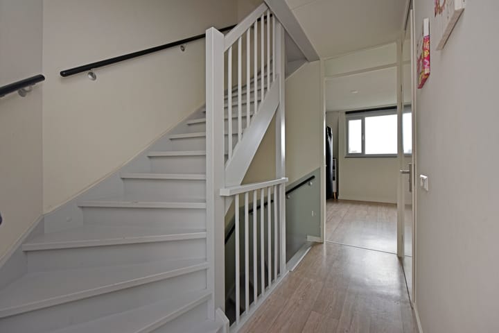 Foto 23 van Rugstreeppad 81