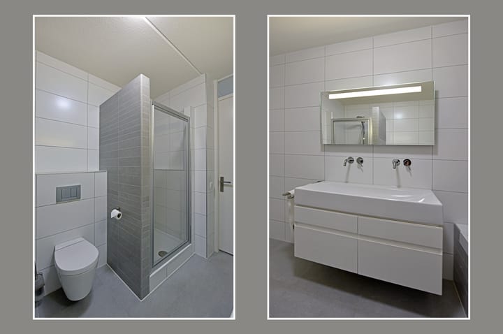 Foto 20 van Rugstreeppad 81