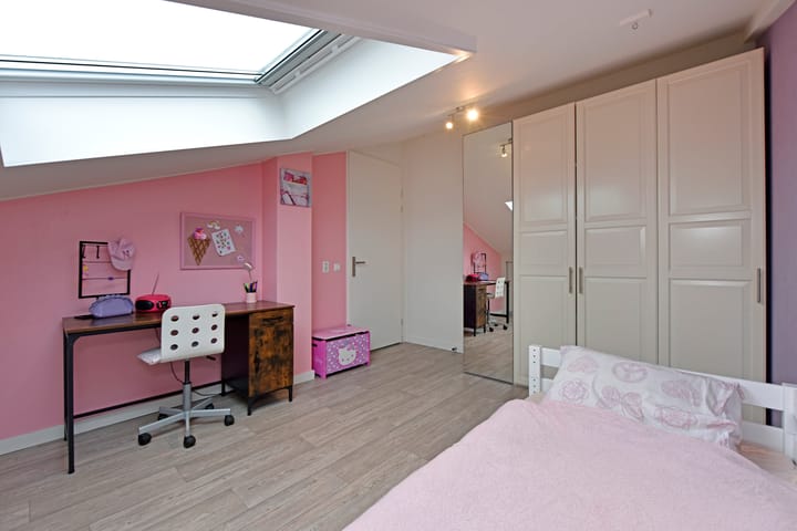 Foto 25 van Rugstreeppad 81