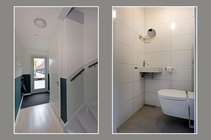 Foto 15 van Rugstreeppad 81