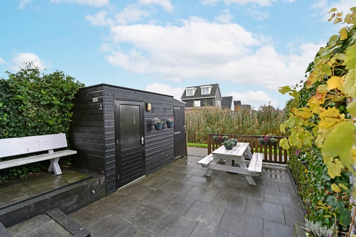 Foto 31 van Rugstreeppad 81