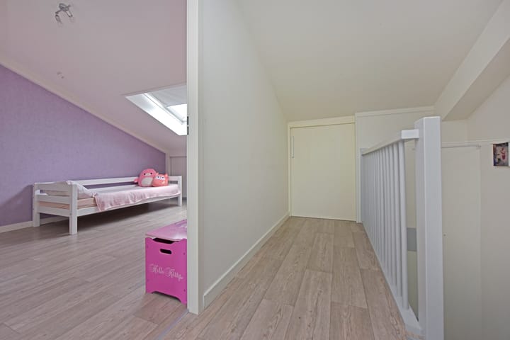 Foto 26 van Rugstreeppad 81