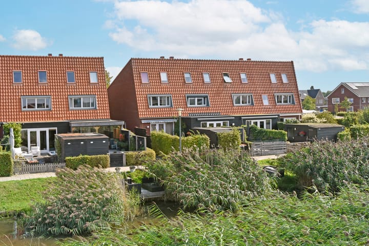 Foto 2 van Rugstreeppad 81