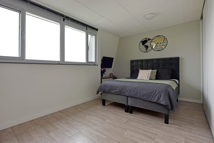 Foto 16 van Rugstreeppad 81