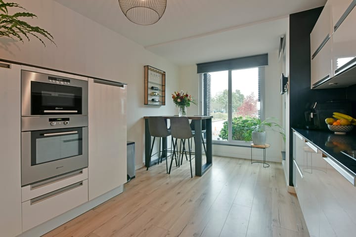 Foto 7 van Rugstreeppad 81