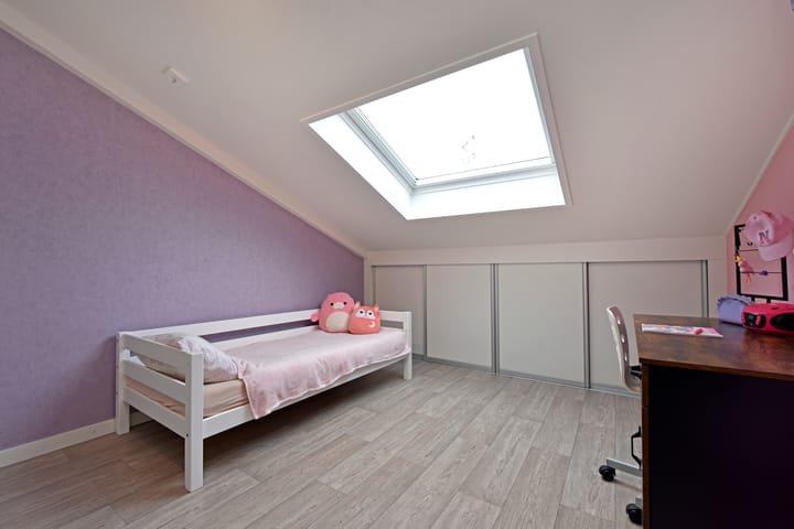 Foto 24 van Rugstreeppad 81