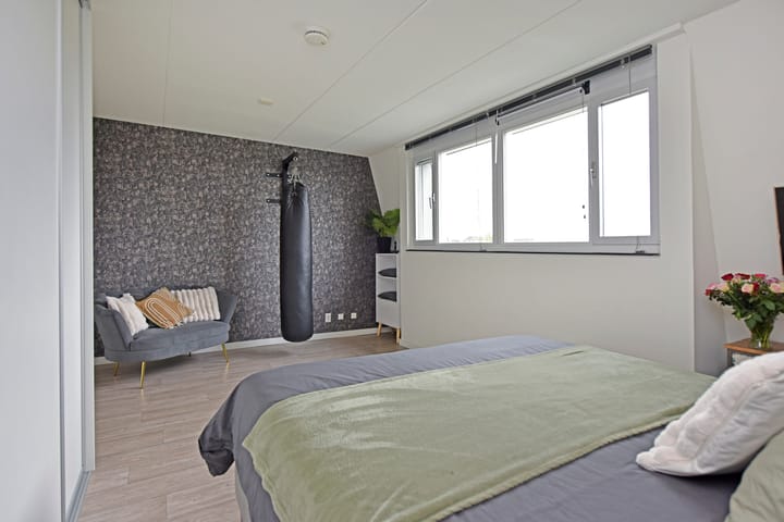 Foto 17 van Rugstreeppad 81