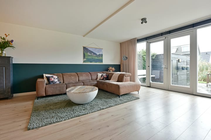 Foto 12 van Rugstreeppad 81