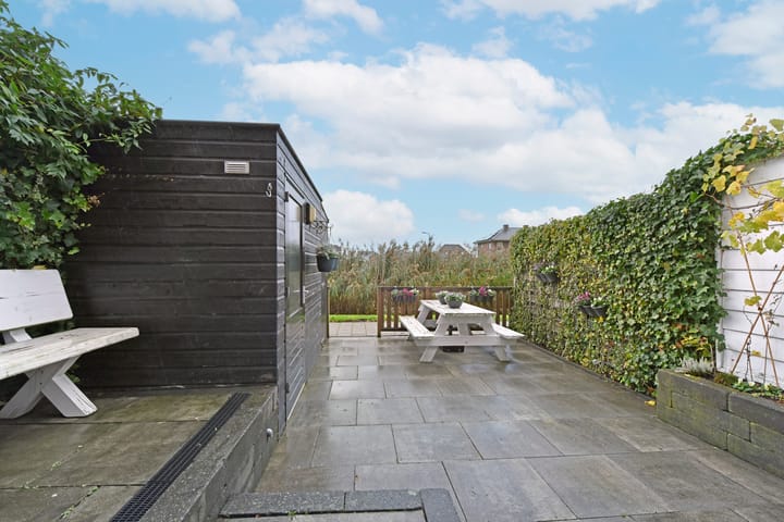 Foto 30 van Rugstreeppad 81