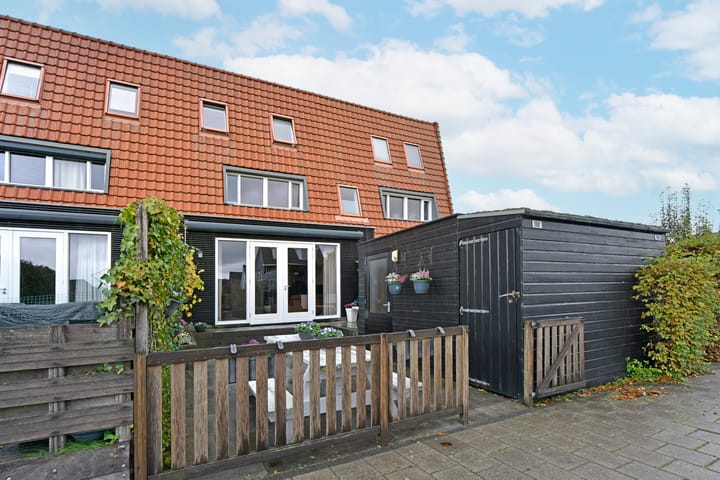 Foto 29 van Rugstreeppad 81